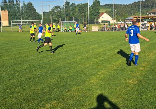 Bezirksmeisterschaft Endspiel_nsw