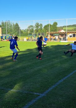 Bezirksmeisterschaft Endspiel_nsw